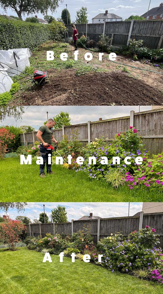 Maintained lawn and borders on an annual plan in Teddington, TW11