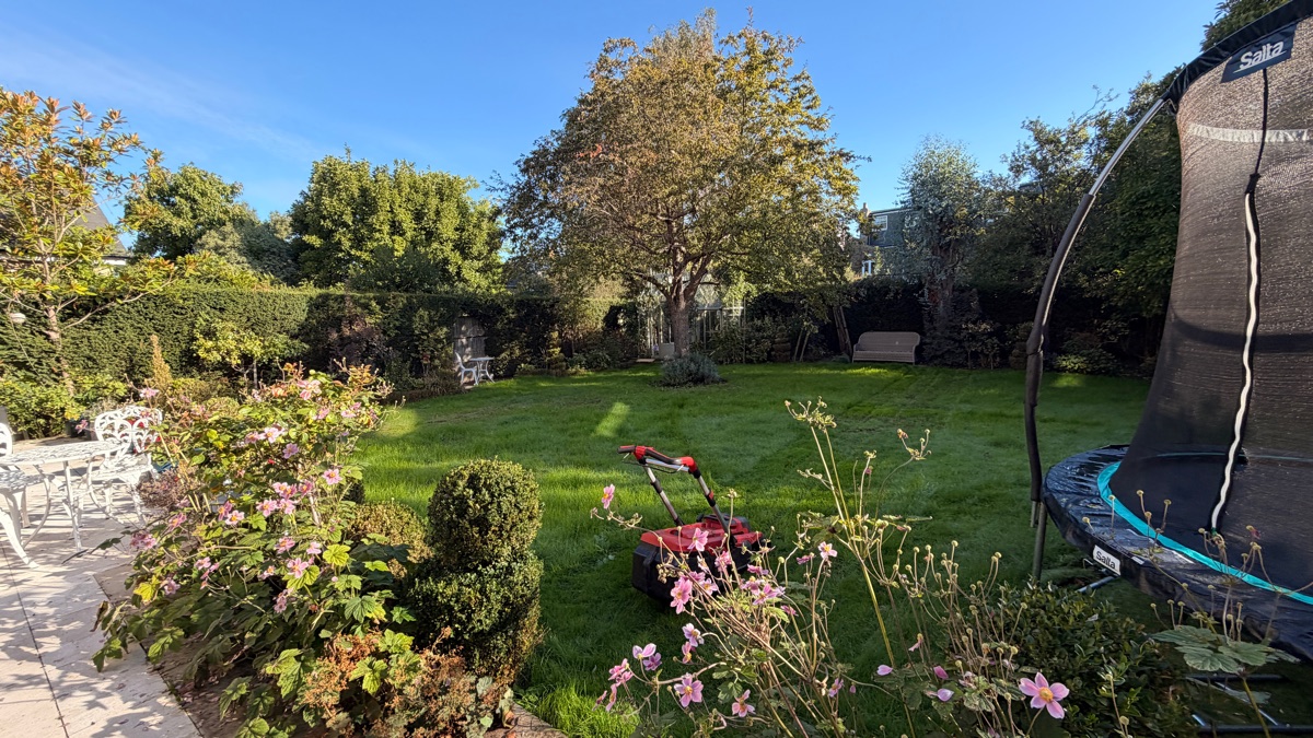 After — Lawn renovation in Teddington (TW11)