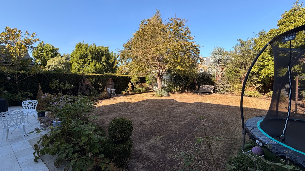 Before — Lawn renovation in Teddington (TW11)