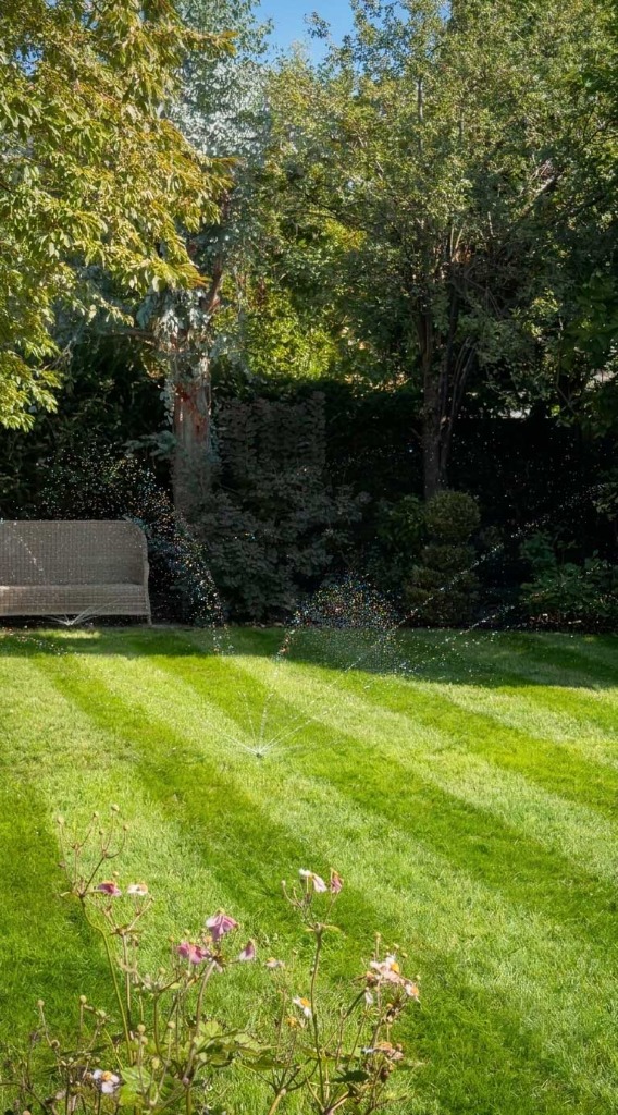 Rain Bird drip irrigation installed in a border in Teddington, TW11